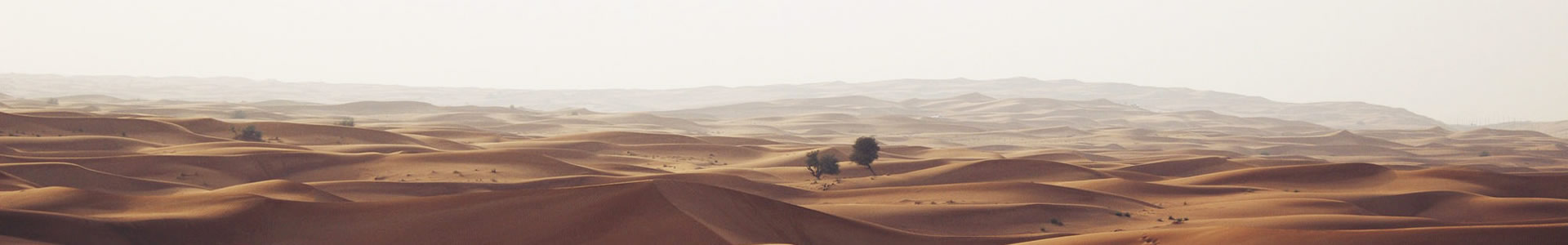 ɽΰݲ޹˾